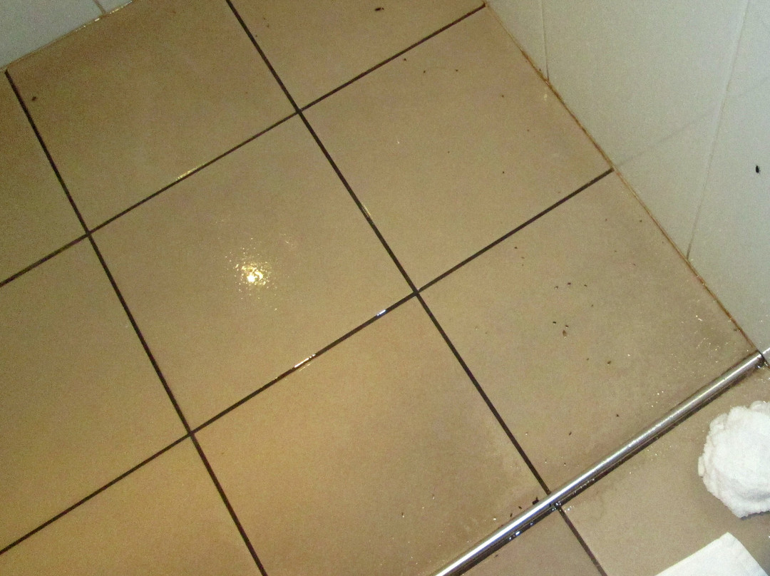 The Clairfield Hotel主图