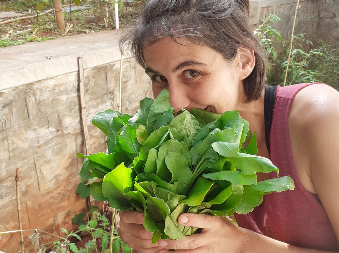 Yoga Gita-迈索尔必去景点