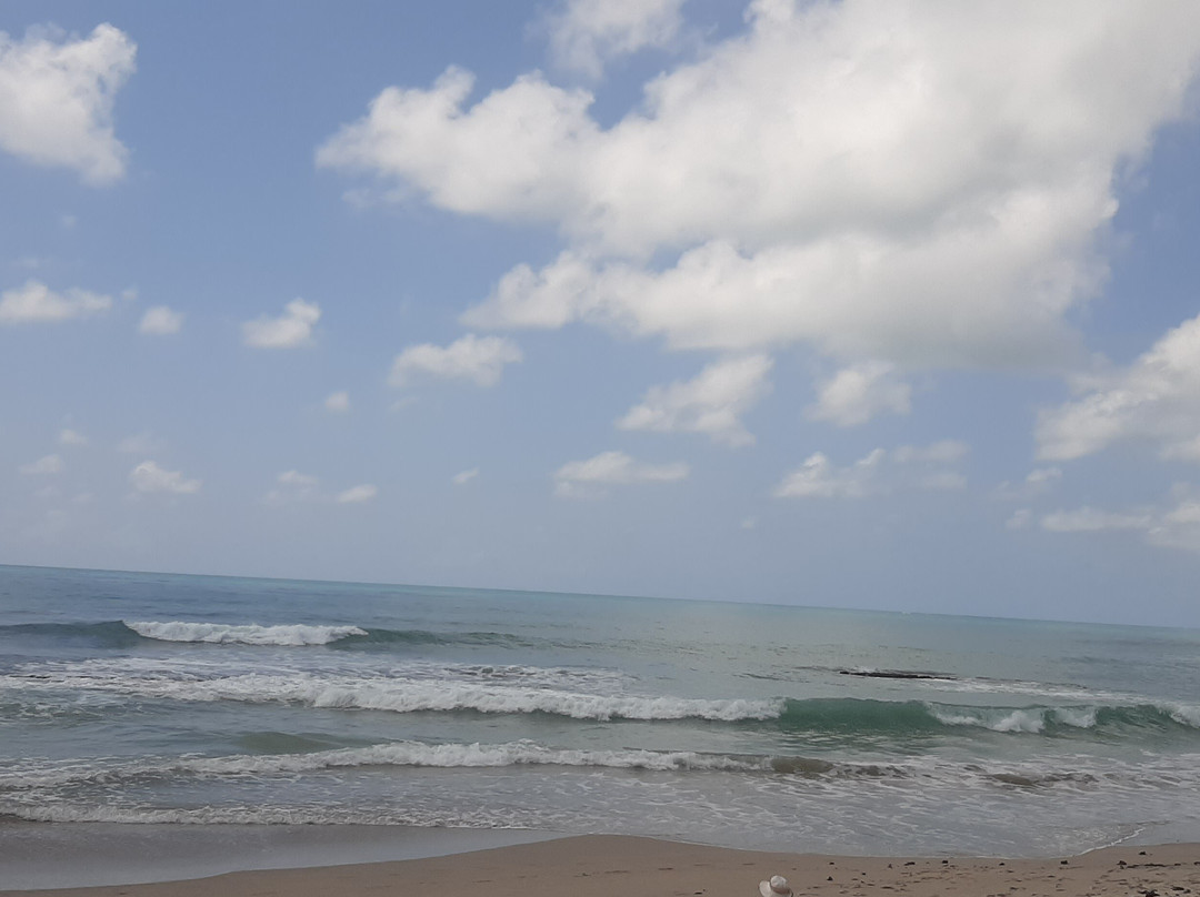 Ribeiro translado e receptivo-Rio Largo必去景点