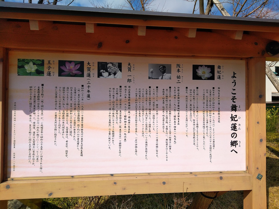 Maihiren no Sato-御坊市必去景点