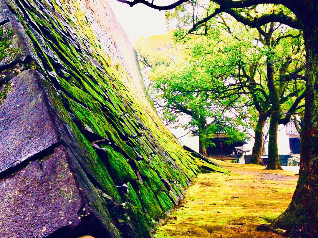 熊本城本丸御殿景点图片