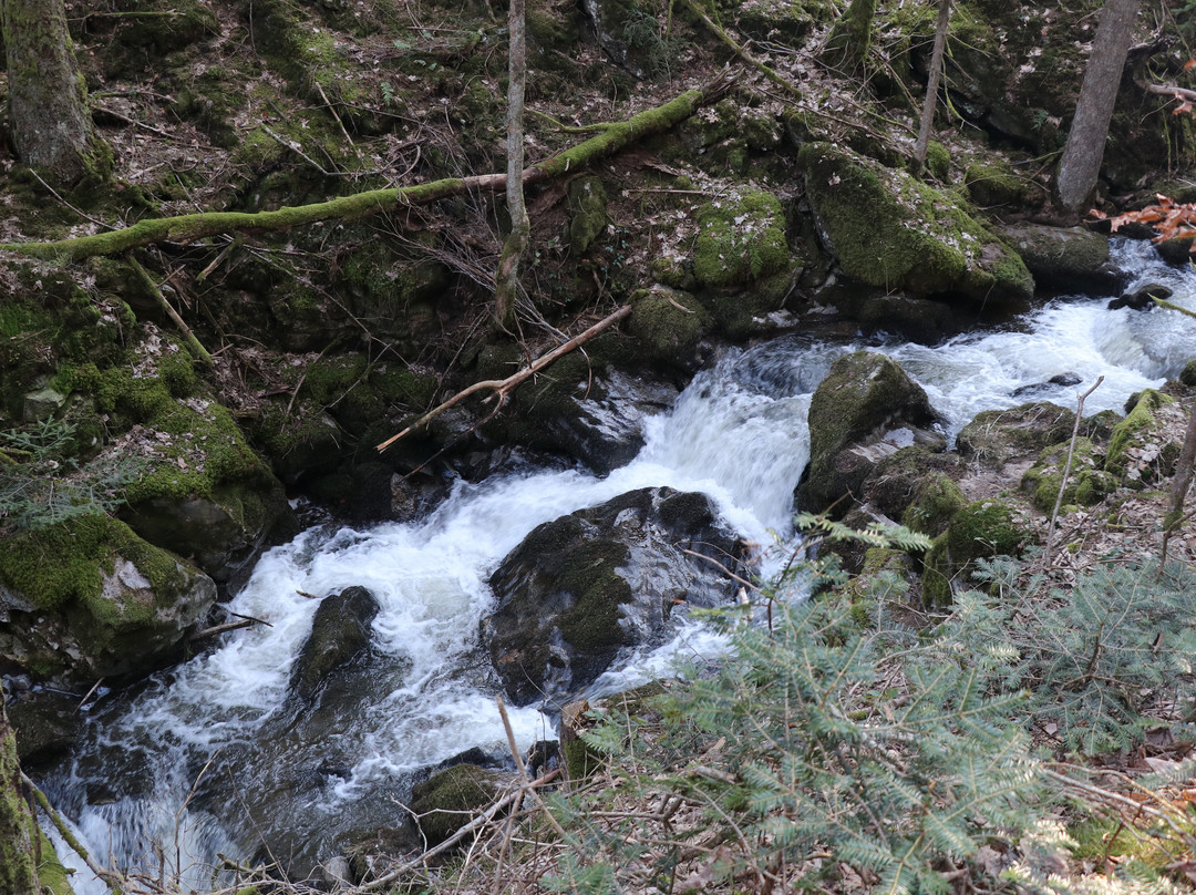 Strahlbrusch Fall-Rickenbach必去景点