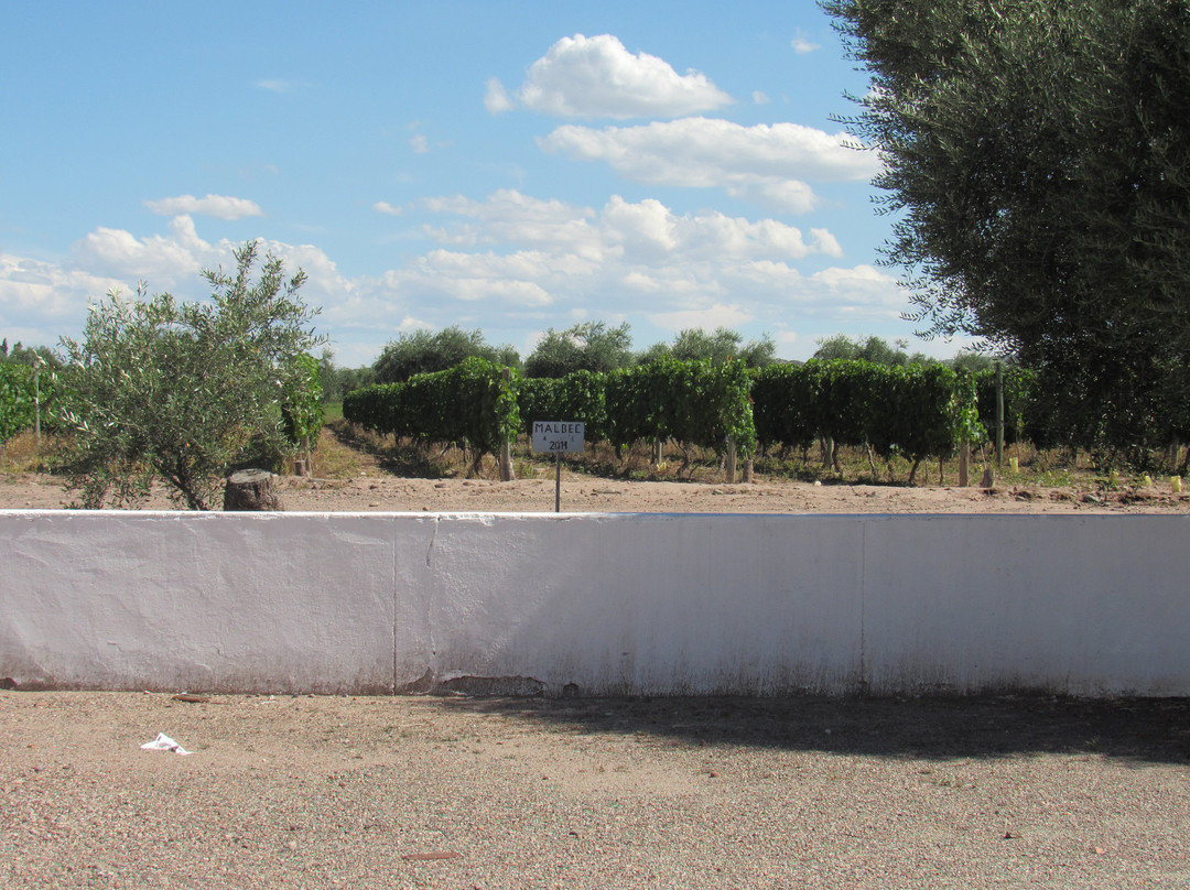 Bodega Florio-Maipu必去景点