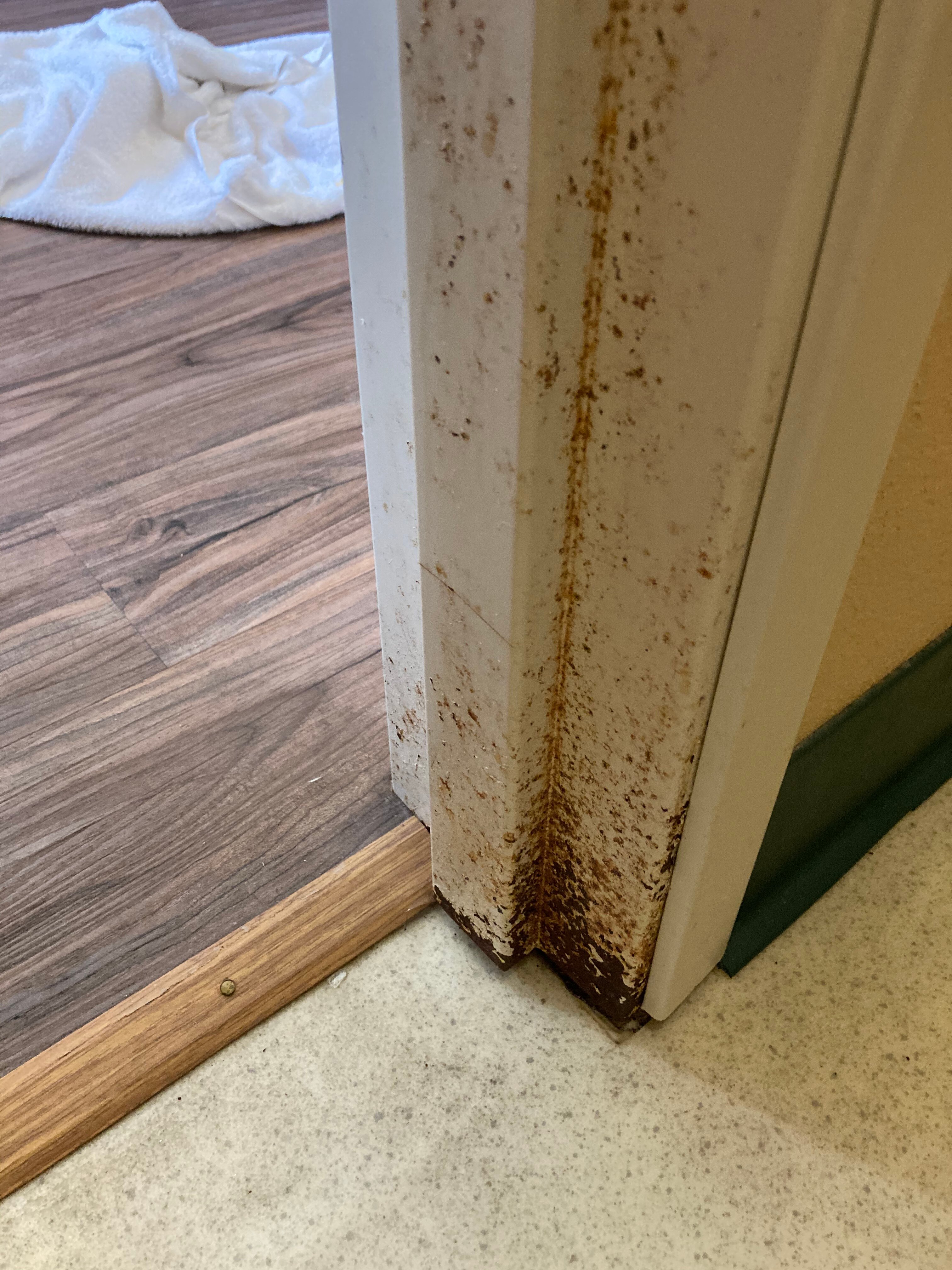 Econo Lodge Valdosta-浴室