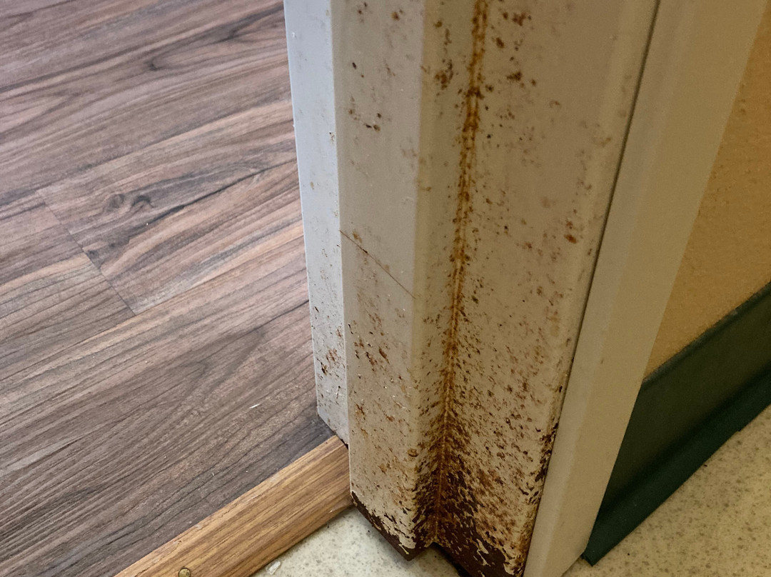 Econo Lodge Valdosta主图