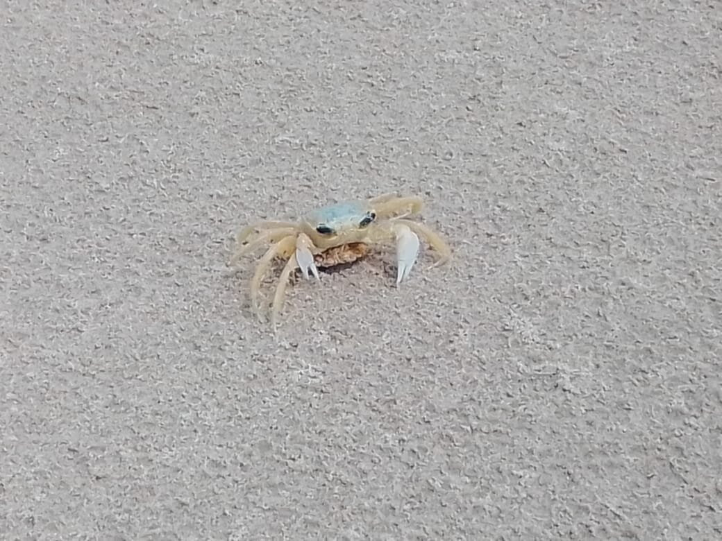 Praia do Paiva-Cabo de Santo Agostinho必去景点