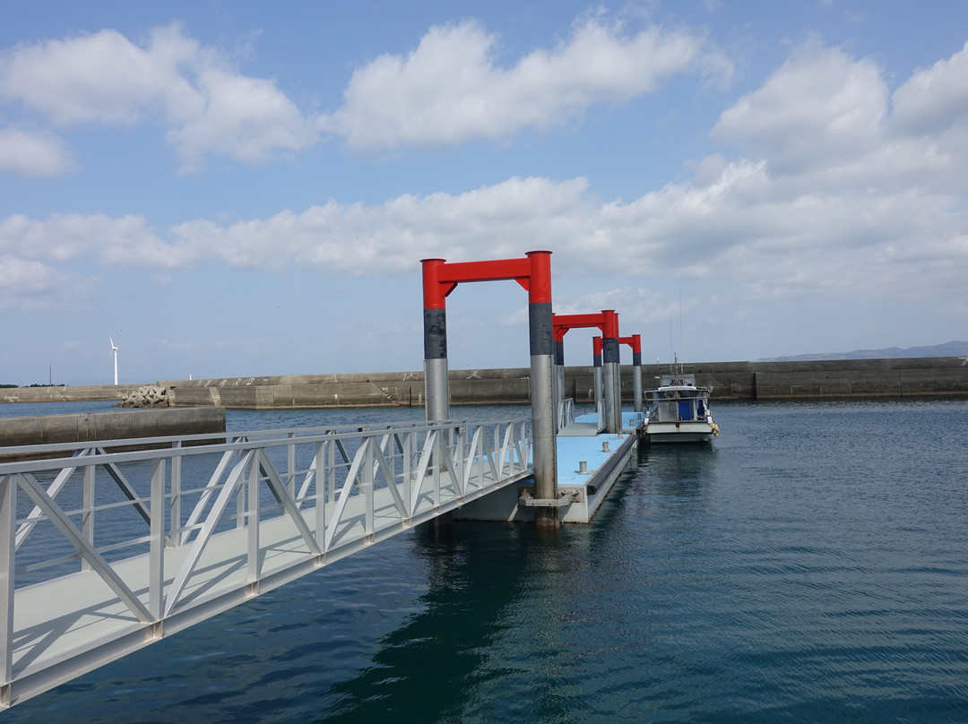 Michi no Eki Amakusa Dolphin Center景点图片