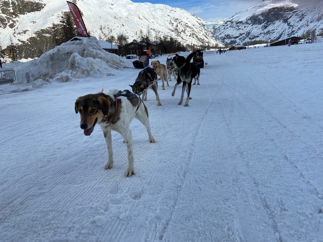 Husky Adventure景点图片