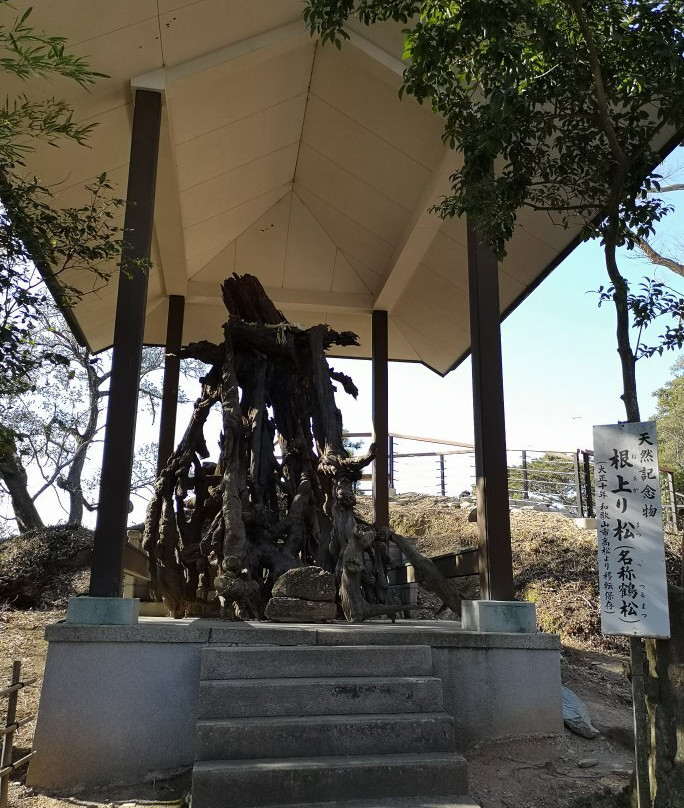 Tamatsushima Shrine-和歌山市必去景点