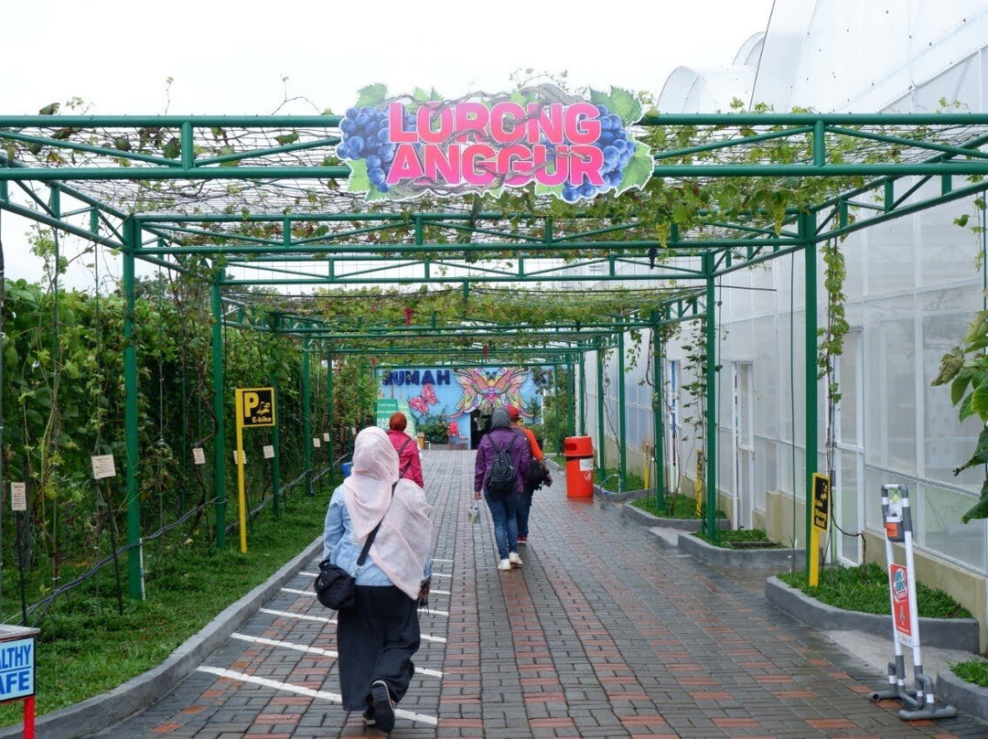 Batu Love Garden (baloga)-巴图必去景点