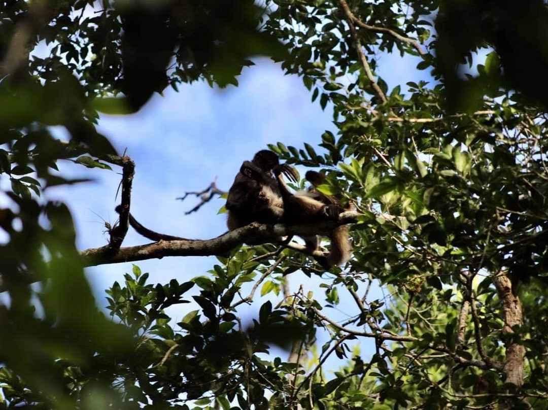 Tours in Calakmul Abel-Xpujil Town必去景点