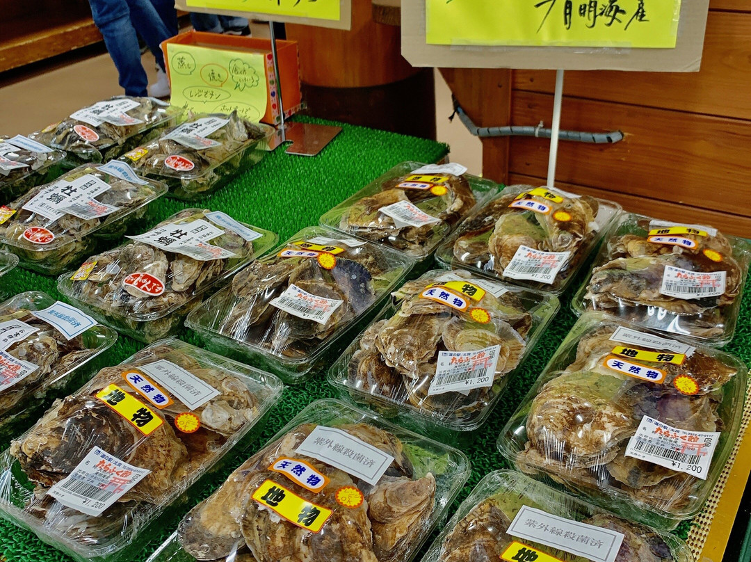 Michi-no-Eki Tara-太良町必去景点