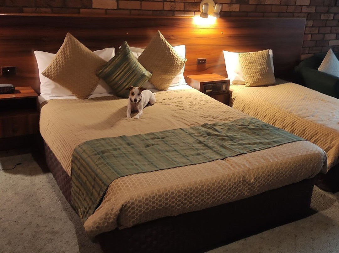 Belvoir Village Motel & Apartments主图