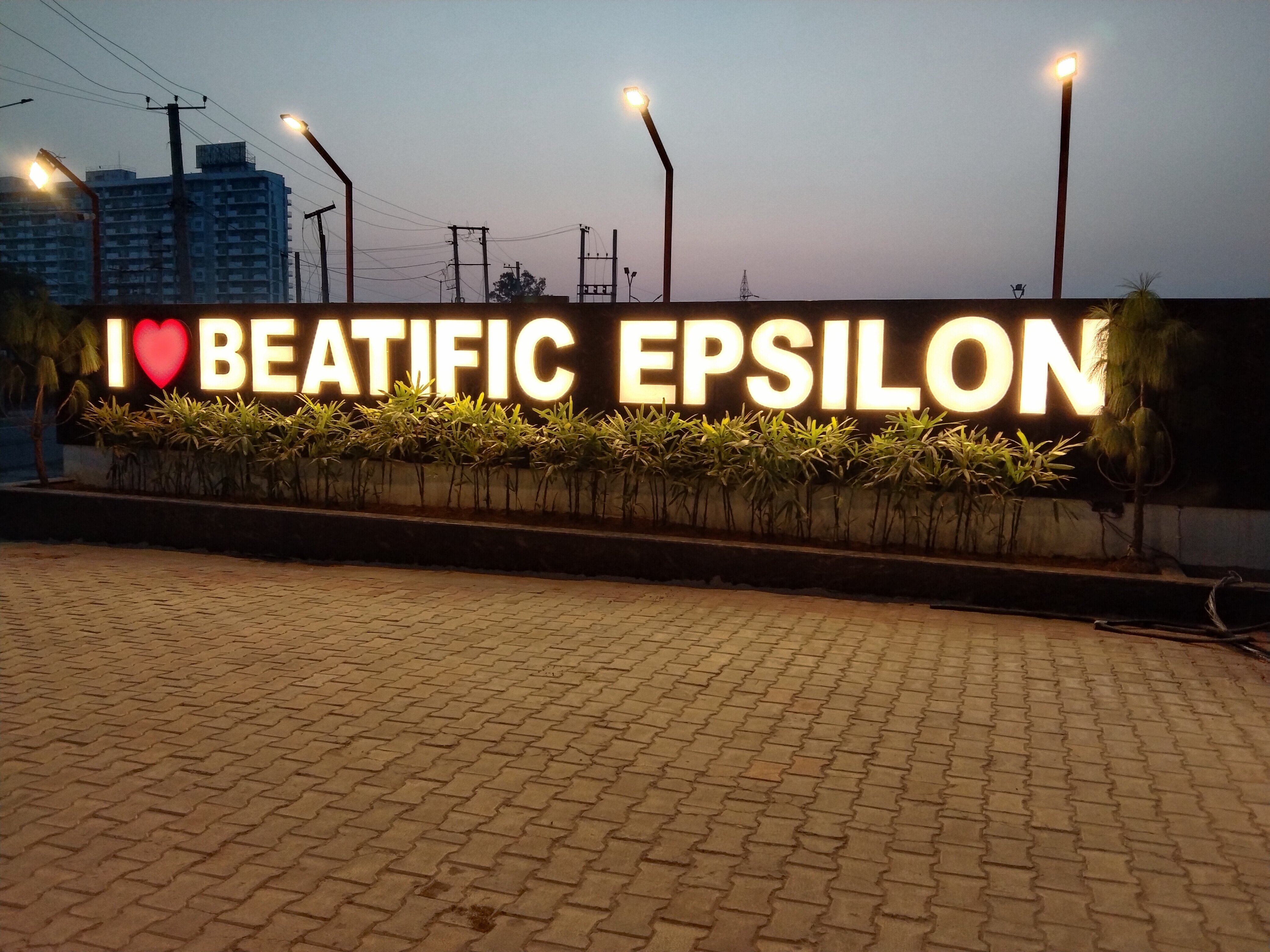 The Beatific Epsilon-官方