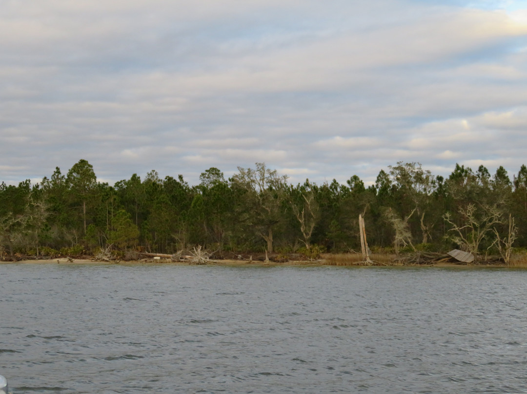 Back Bay Charters-橙色海湾必去景点