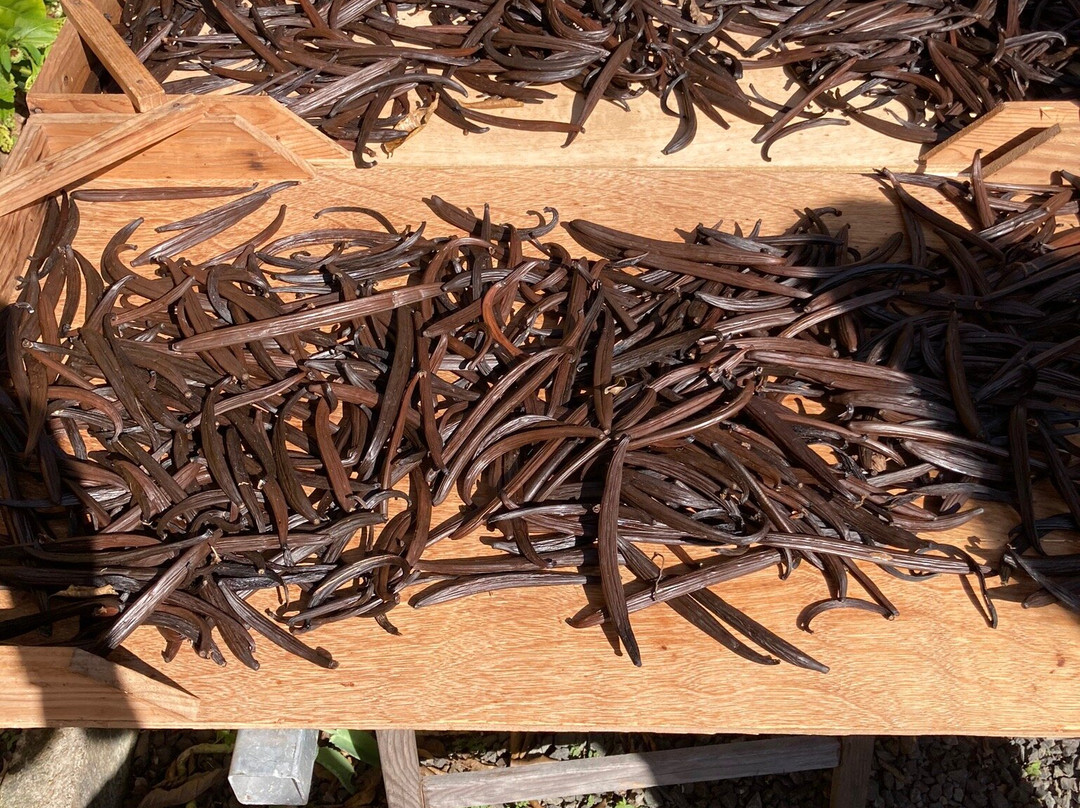 La Vanilleraie de Fety-Pointe-Noire必去景点