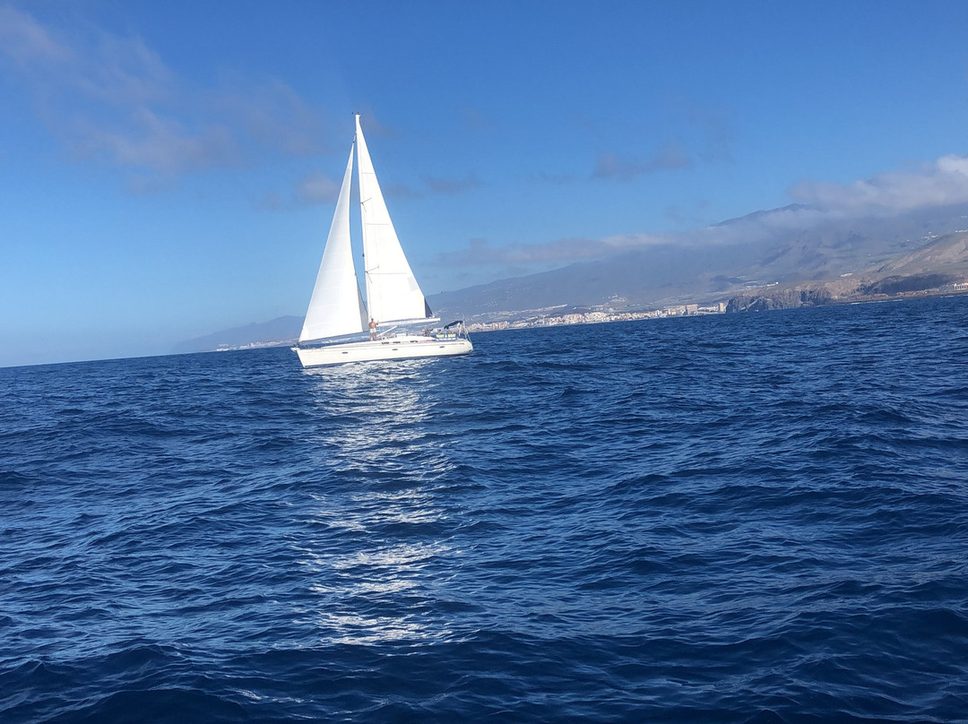 Sailor Excursions Madoudou Tenerife景点图片