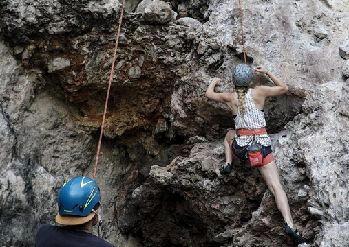 Social Nature Movement (SNM)-奥克兰中心地区必去景点