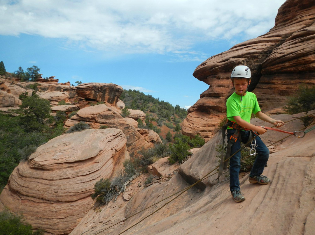 Zion Guide Hub-斯普林代尔必去景点