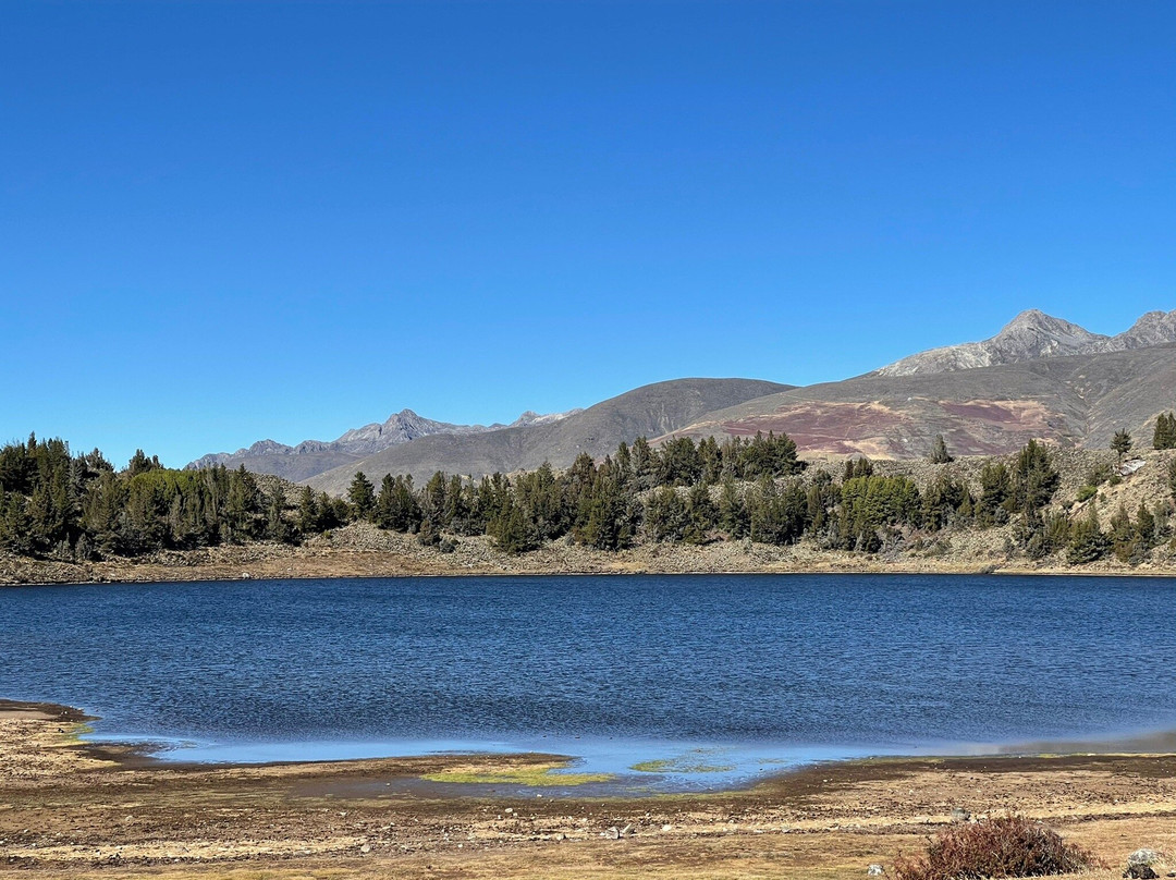 Laguna de Mucubaji-梅里达市必去景点
