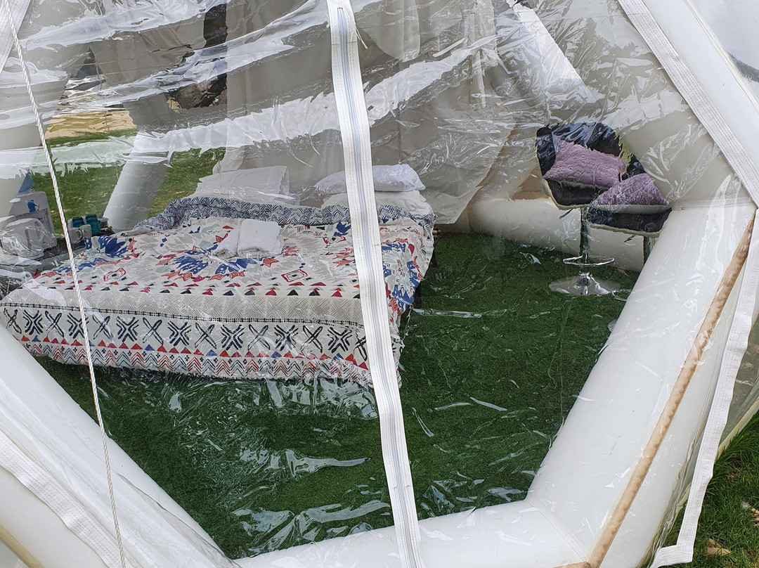 Coonawarra Bush Holiday Park主图