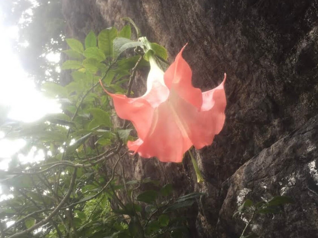 Galboda Falls-Nawalapitiya必去景点