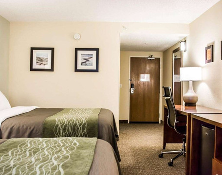 Comfort Inn Fort Myers Northeast主图