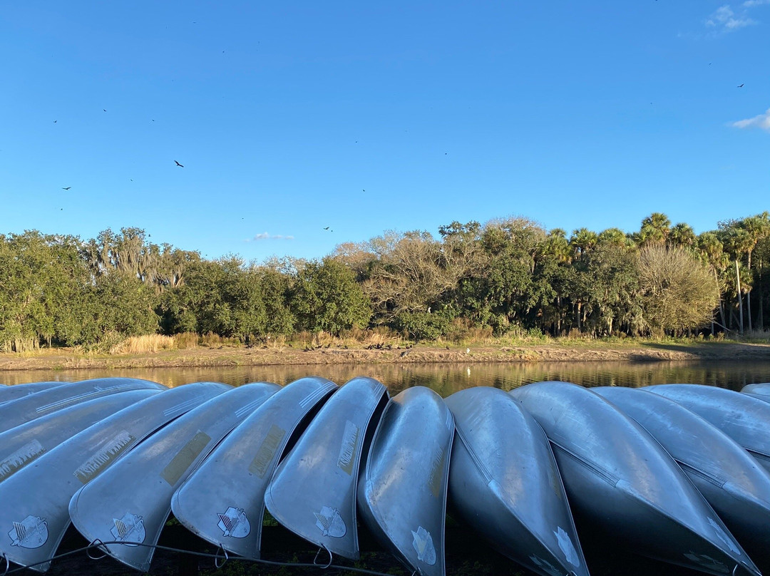 Myakka Canopy Walkway-萨拉索塔必去景点