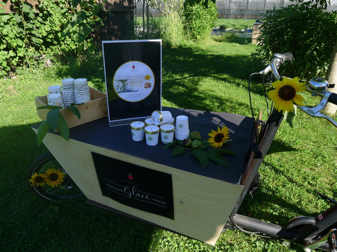 Pilgerhof-Maerstetten必去景点