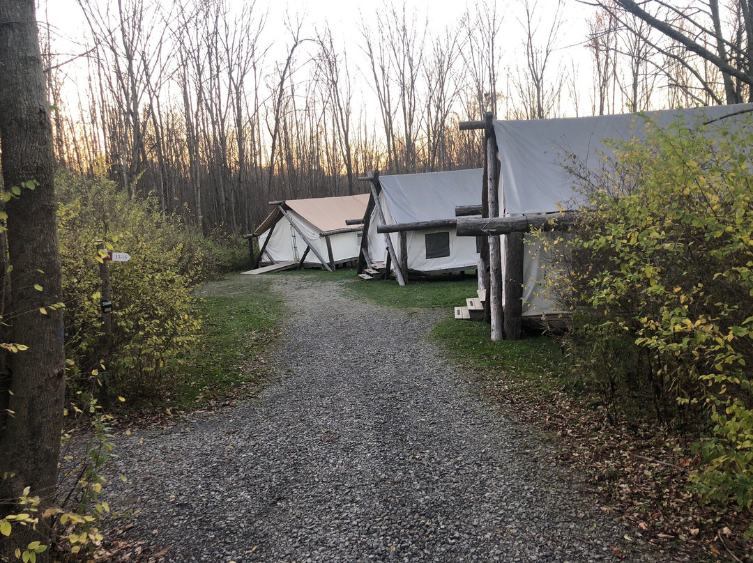 塔楼温泉度假村主图