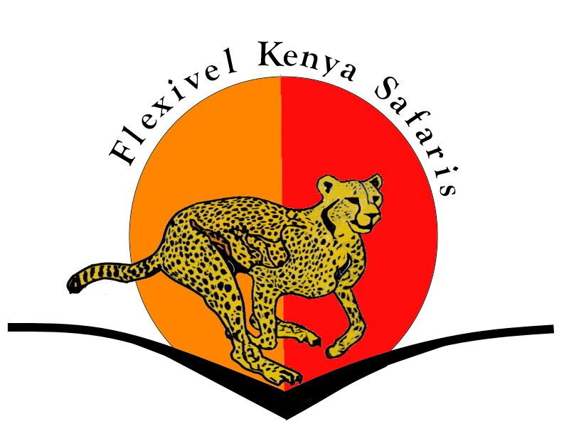 Flexivel Kenya Safaris-内罗毕必去景点