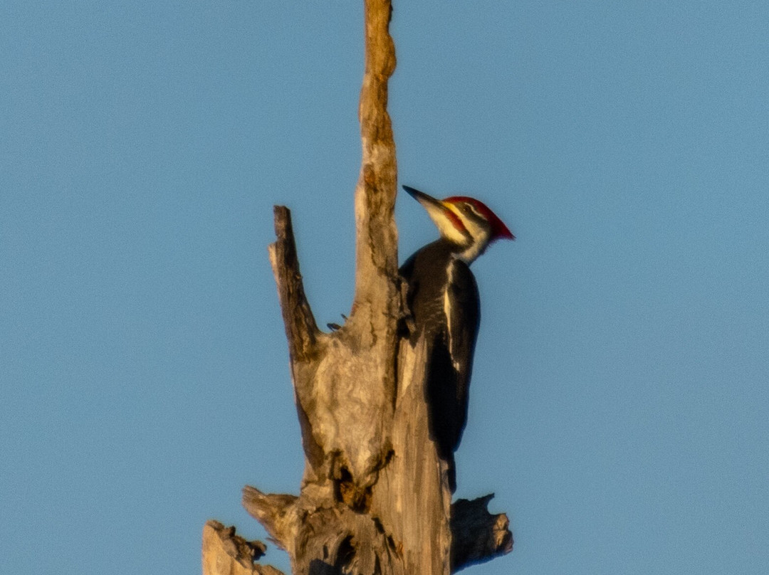 Mystique Tours Caddo - Private Tours-Karnack必去景点