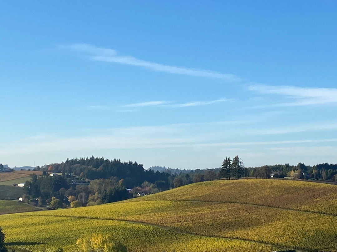 Coria Estates-塞勒姆必去景点