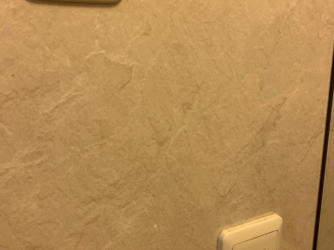 横滨樱木町华盛顿酒店主图