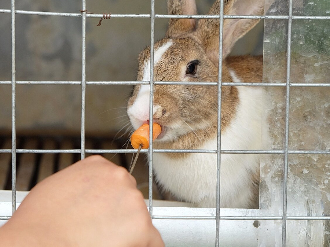 梅森青松酒店主图