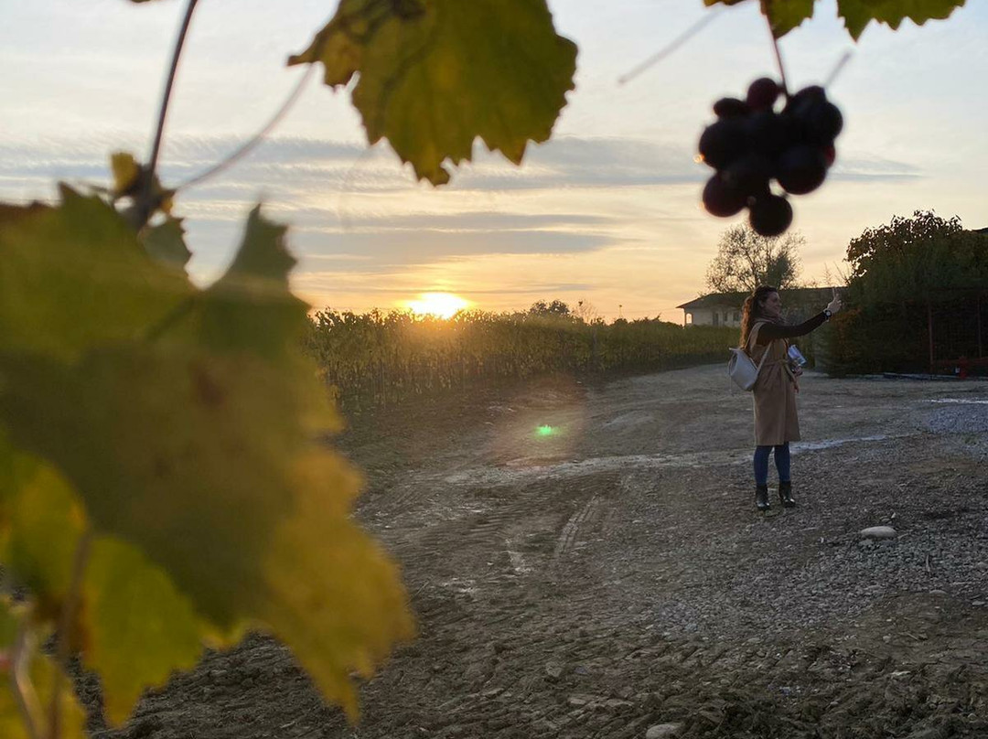 Azienda Agricola G.D. Vajra, Barolo-巴罗洛必去景点