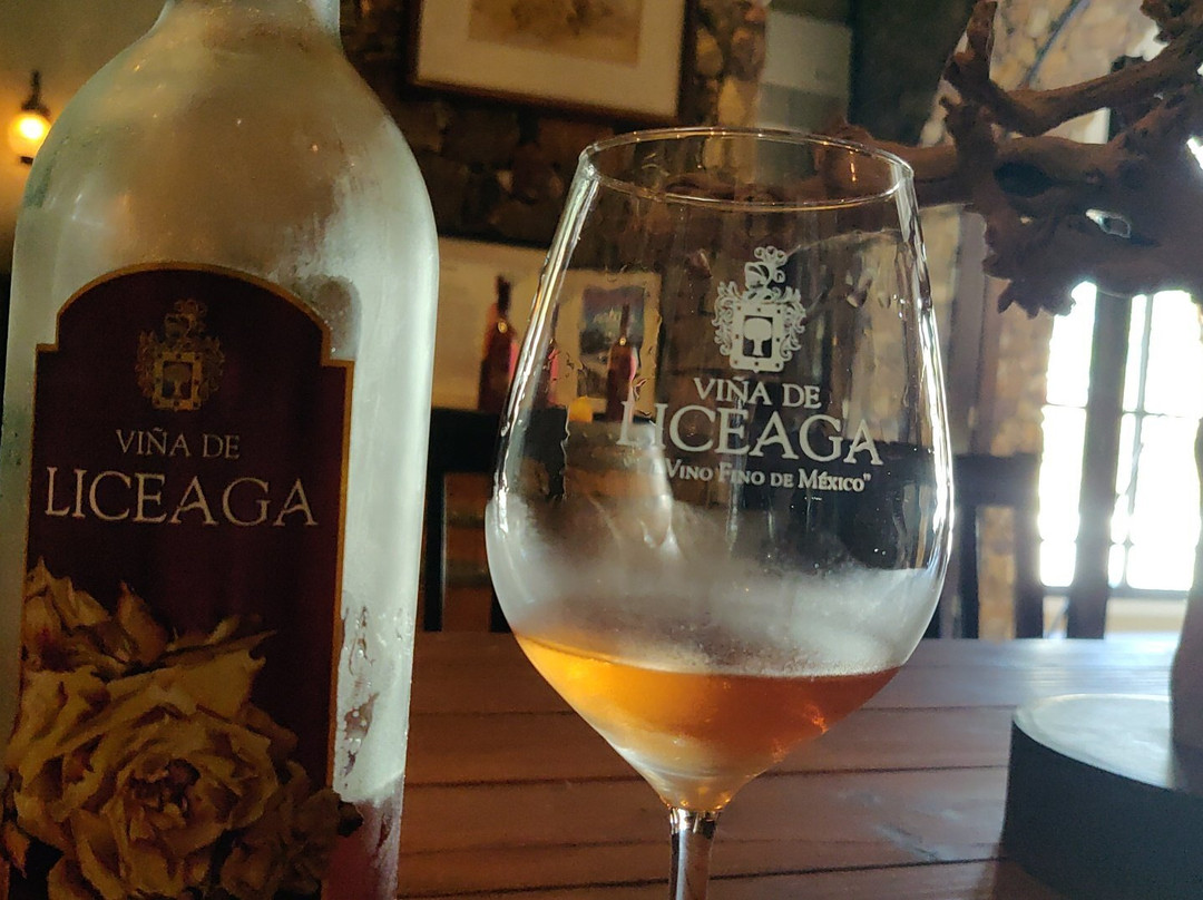 Viña de liceaga景点图片