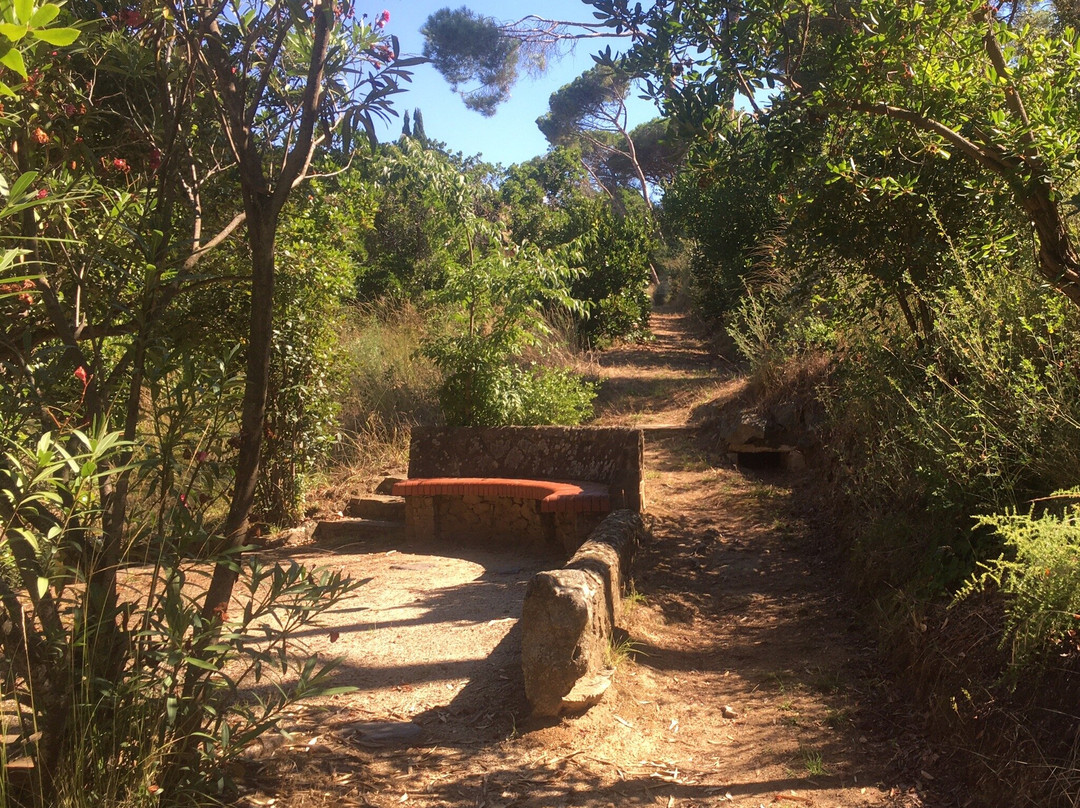 Parc de Can Muntanyà-Caldes d'Estrac必去景点