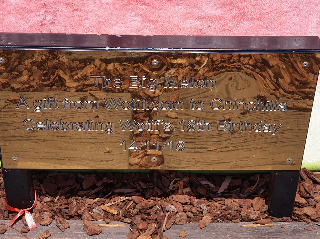 The Big Melon-Chinchilla必去景点