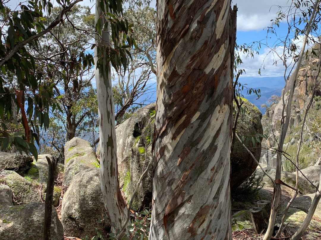 Motel Views Yackandandah主图