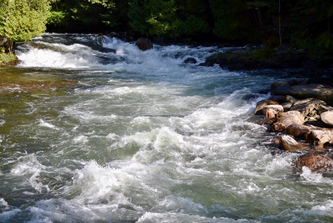 Minden Wild Water Preserve景点图片