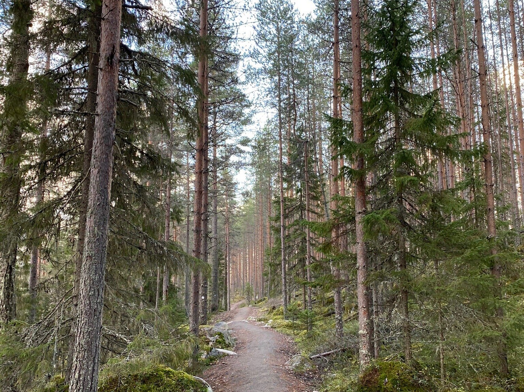 Julmat Lammit-Saarijärvi必去景点