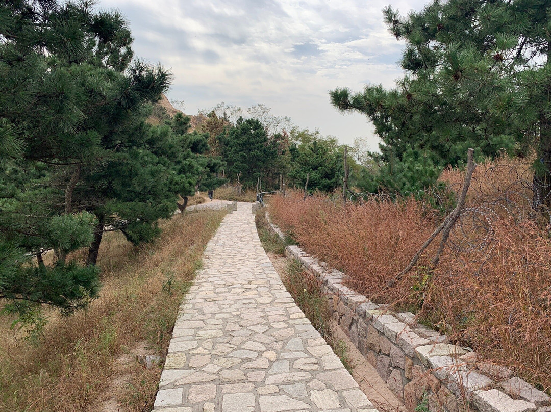 青岛浮山公园-青岛市必去景点