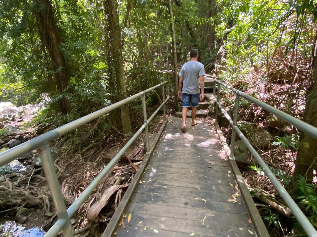 Buderim Forest Park-Buderim必去景点