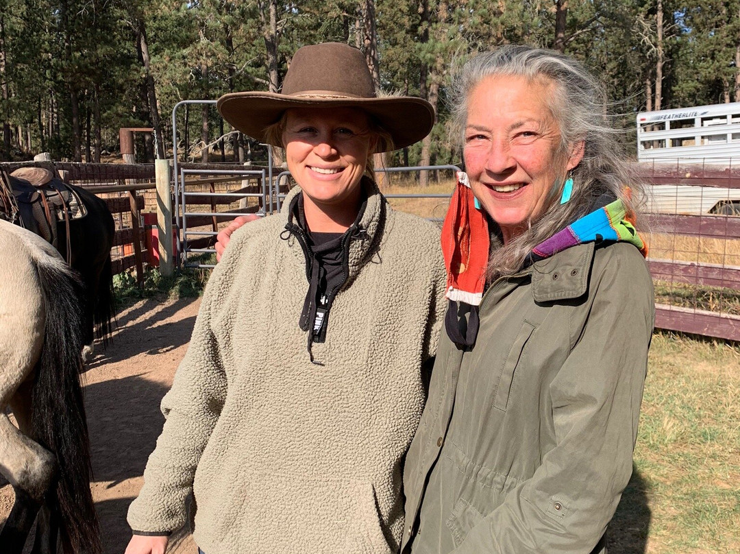 Hollingsworth Horses-卡斯特必去景点