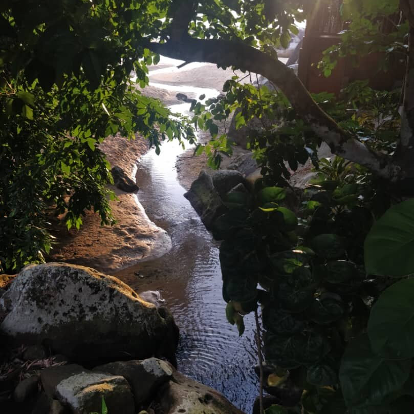 Bamboo Hill Chalets主图