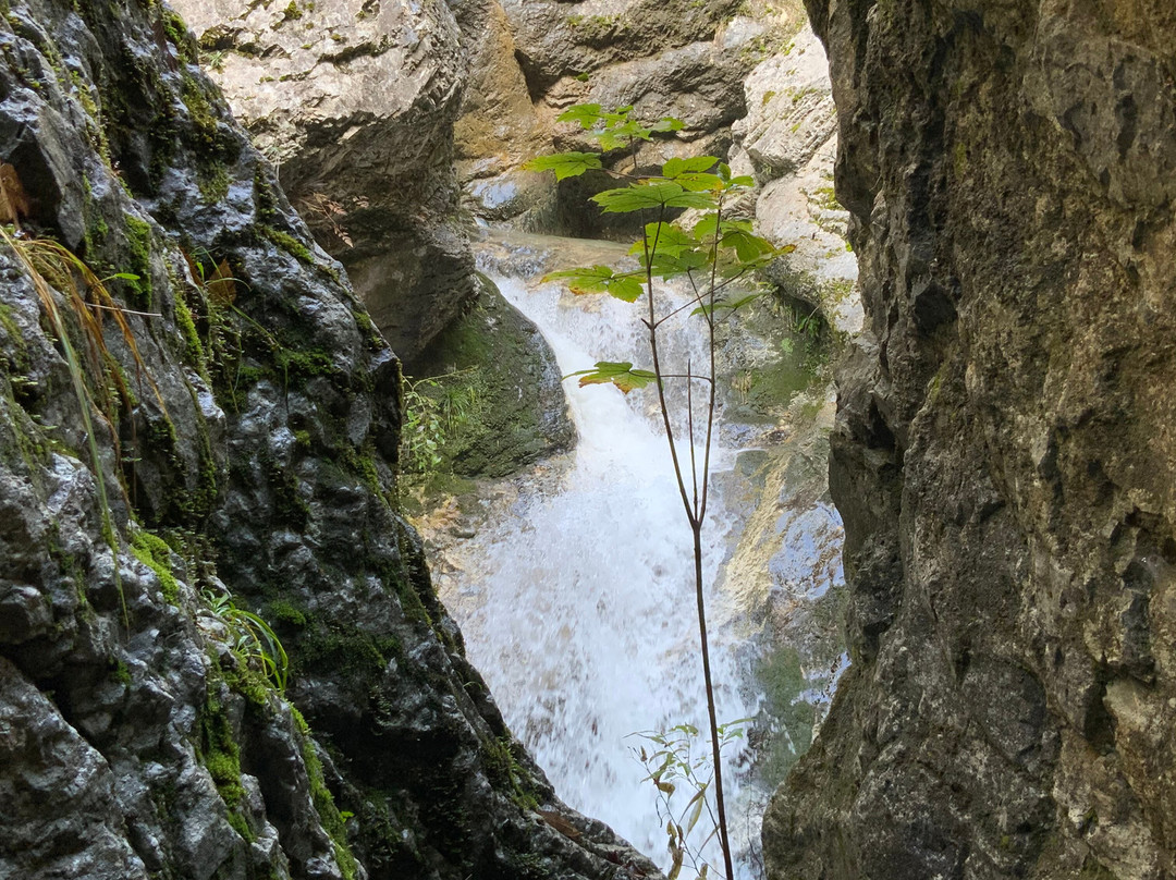 Franja Partisan Hospital-Cerkno必去景点