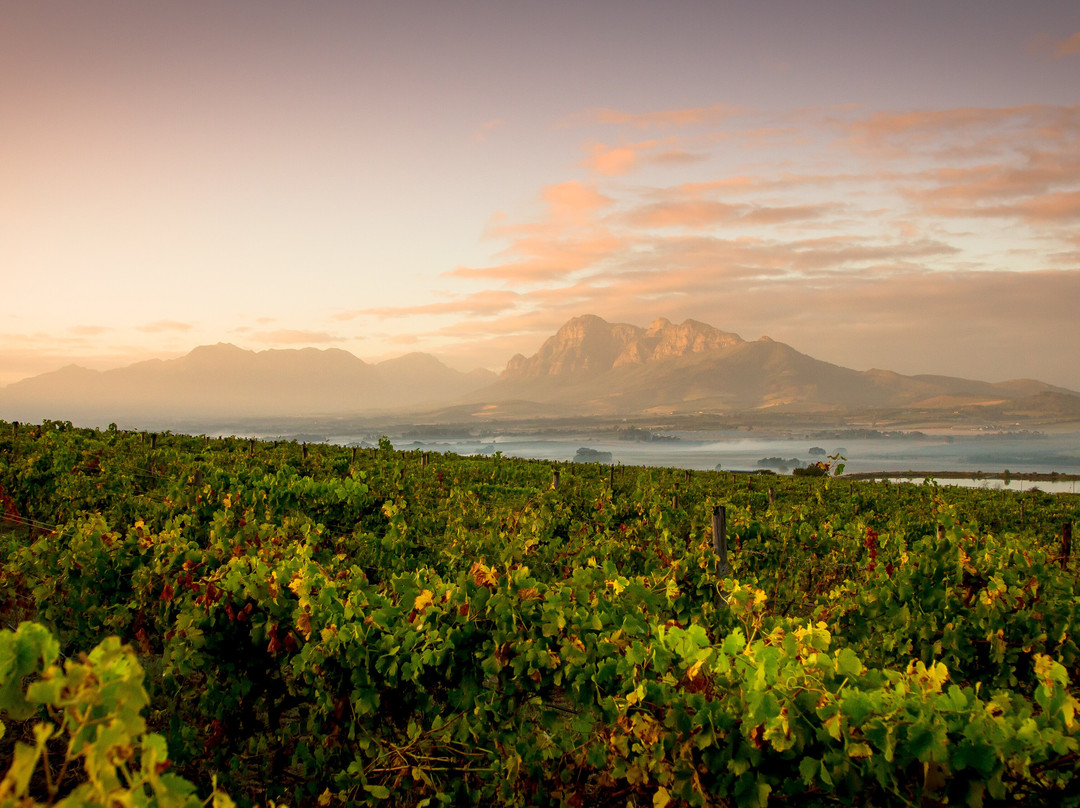 Landskroon Wines-Suider Paarl必去景点