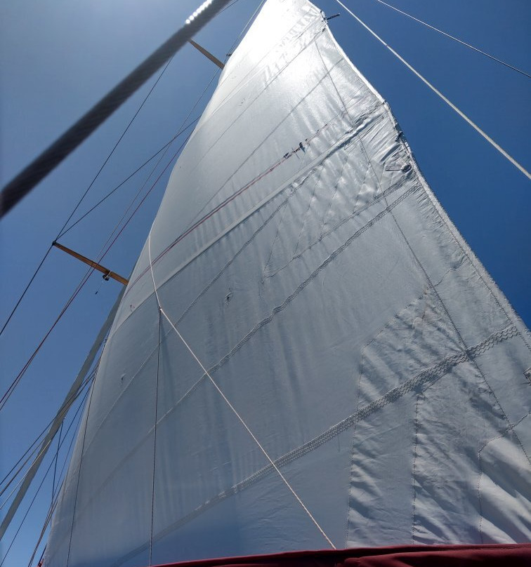 Lady Enid Sailing-艾尔利滩必去景点