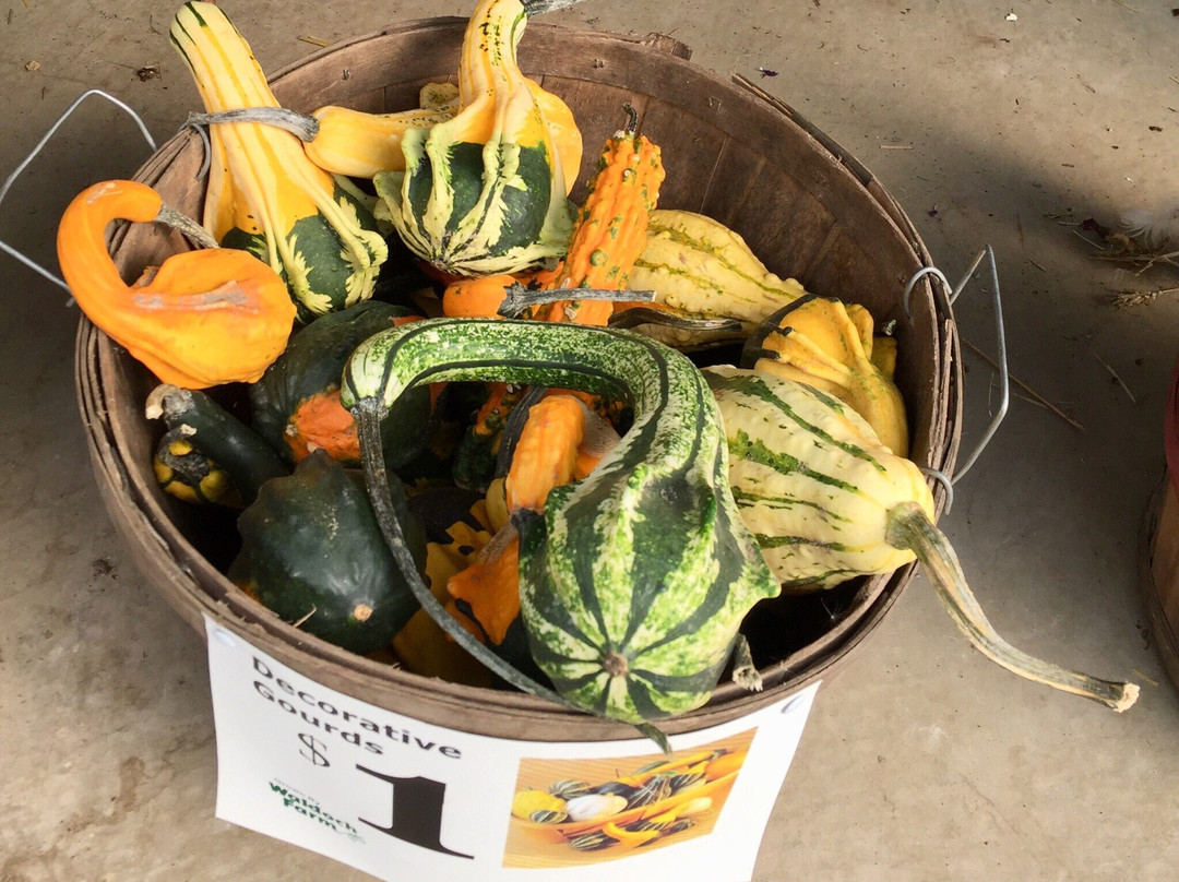 Waldoch Farm-Lino Lakes必去景点